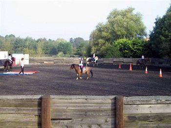 צ'יצ'סטר Willowbrook Riding Centre מראה חיצוני תמונה